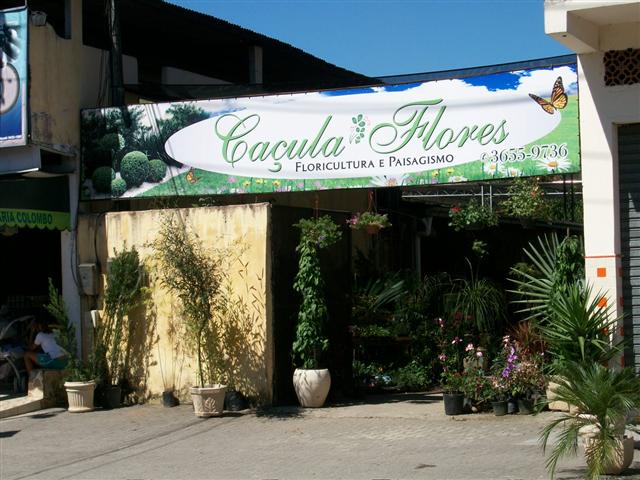 Caçula Flores
